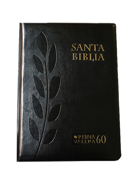 biblia arcoiris reina valera 1960 online biblia arcoiris reina valera 1960 online