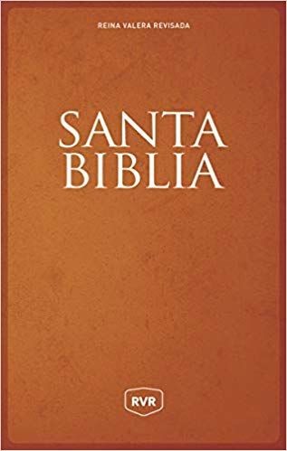 Biblia RVR1977 tamaño manual letra grande Tapa Dura