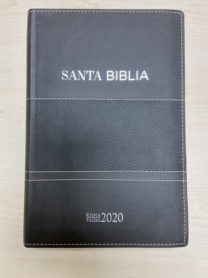 BIBLIA REINA VALERA 2020. GRIS. LETRA GRANDE