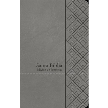 Santa Biblia de Promesas RVR-1960, Tamaño Manual / Letra Grande, Piel especial Gris