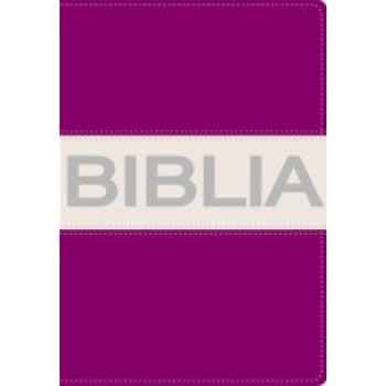 Biblia NVI Compacta Ultrafina i/piel Lila/Gris Colección Contemporanea
