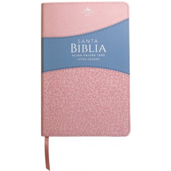 Biblia Reina VAlera 1960 Tamaño manual letra grande 12 puntos i/piel bitono rosa/azul