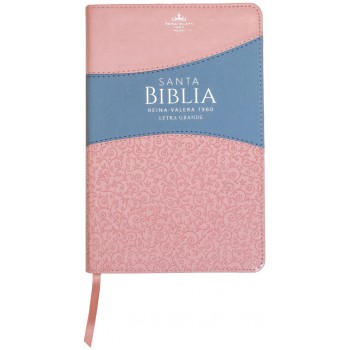 Biblia Reina VAlera 1960 Tamaño manual letra grande 12 puntos i/piel bitono con índice rosa/azul