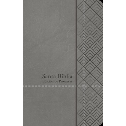 Santa Biblia de Promesas RVR-1960, Tamaño Manual / Letra Grande, Piel especial Gris