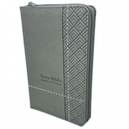 Biblia de Promesas Letra Grande RV1960 imit piel. manual gris con cierre