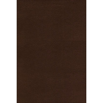 Biblia Thompson RVR60 imitación piel café (nueva edición)