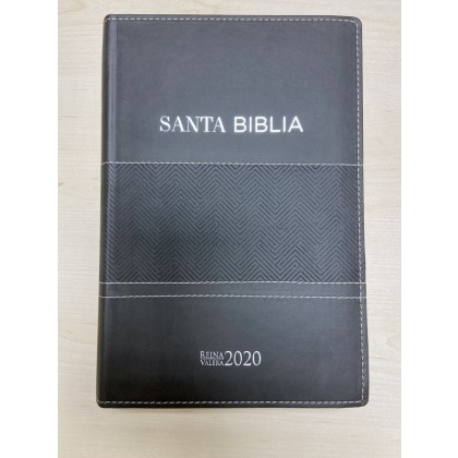 BIBLIA REINA VALERA 2020. GRIS. LETRA GRANDE